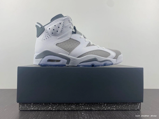 Cheap LUCY Cool CT8529-100 Grey Air Jordan 6 0824